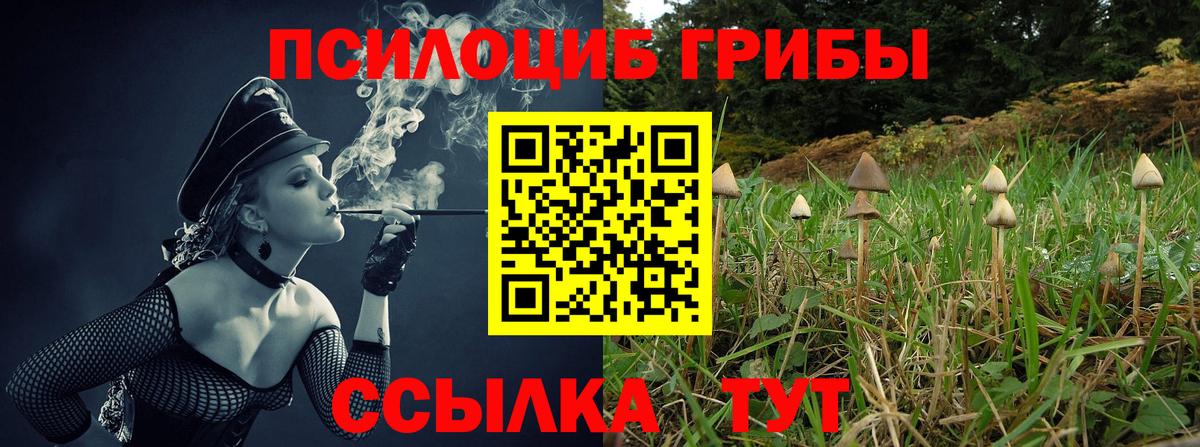 Галлюциногенные грибы ЛСД  Вход с VPN  где найти   Родники 