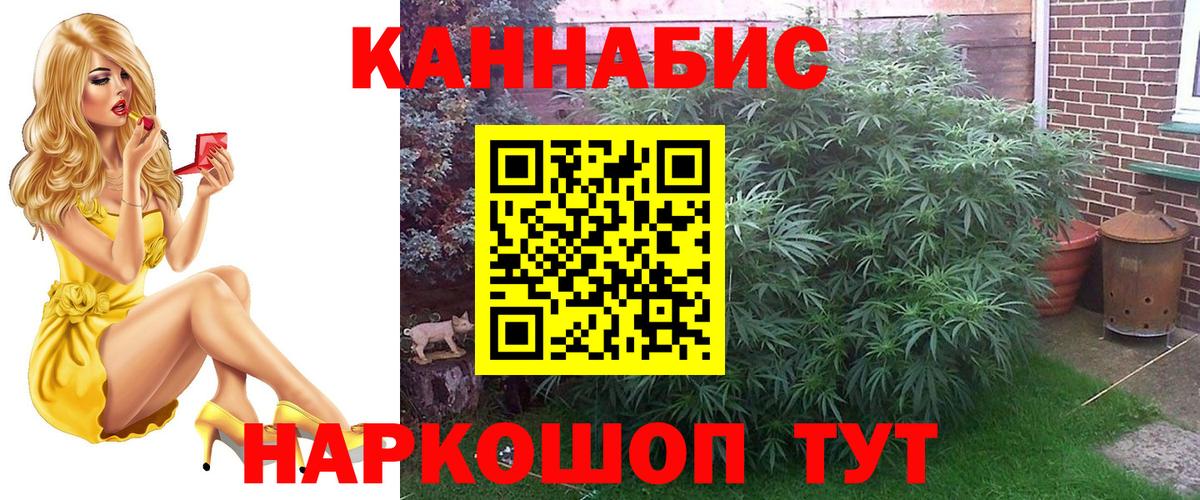 Марихуана конопля  Конопля SATIVA & INDICA  Родники  Вход с VPN 